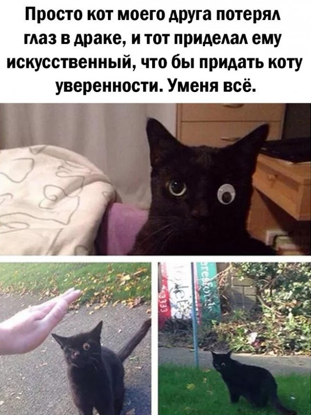 Так себе картинки 02.06.22