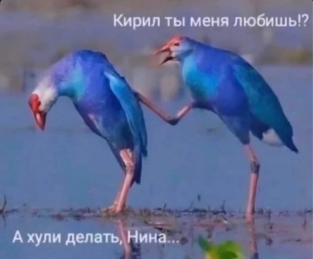 А давайте послушаем женщин, что они сами говорят про свою верность. Но только не мужчинам, а друг другу