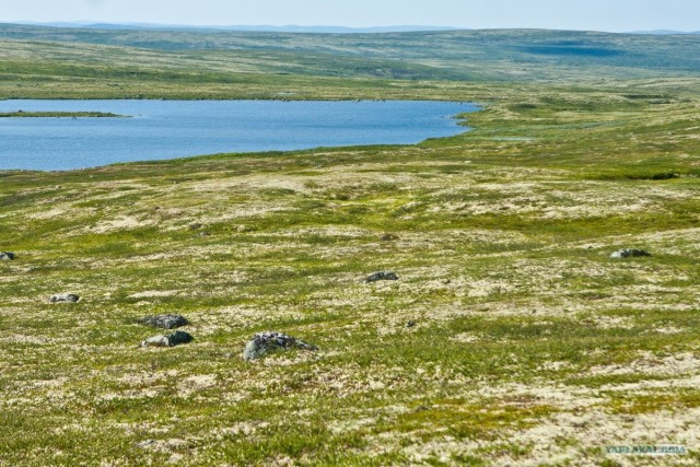 Териберка и окрестности...