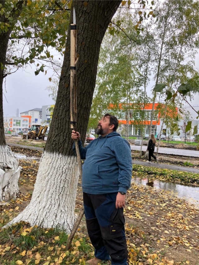 Грибы вроде пошли. Владимирская область