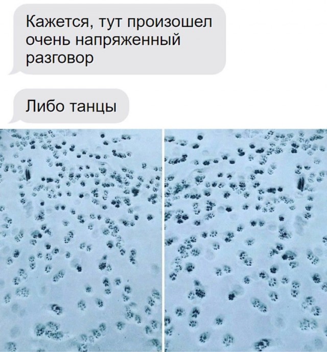 Немного картинок для настроения - 117