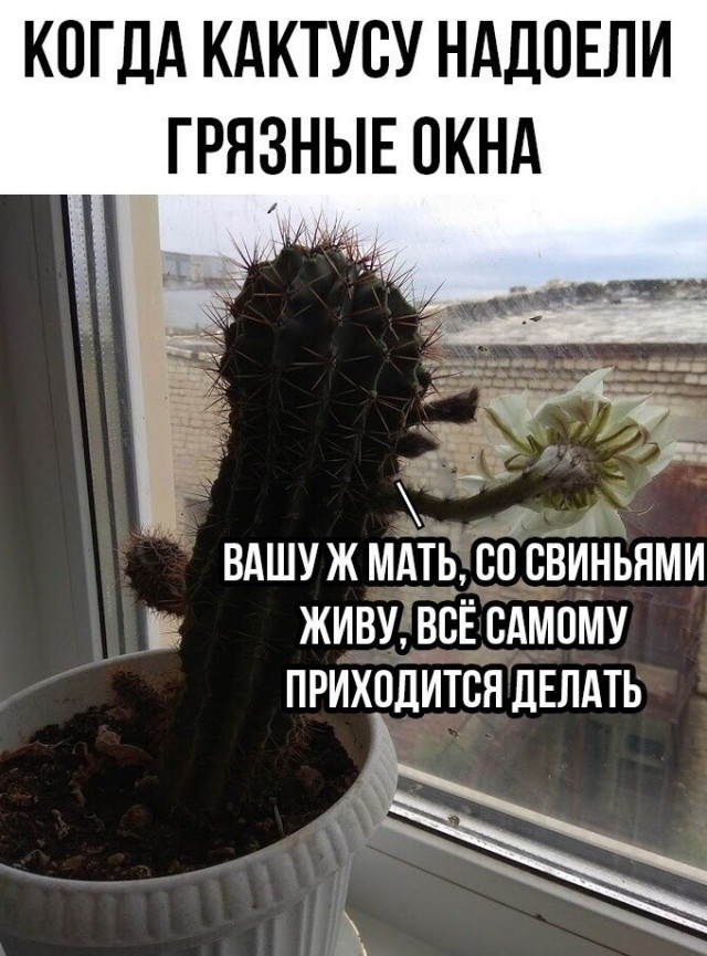 Оно просто хотело жить