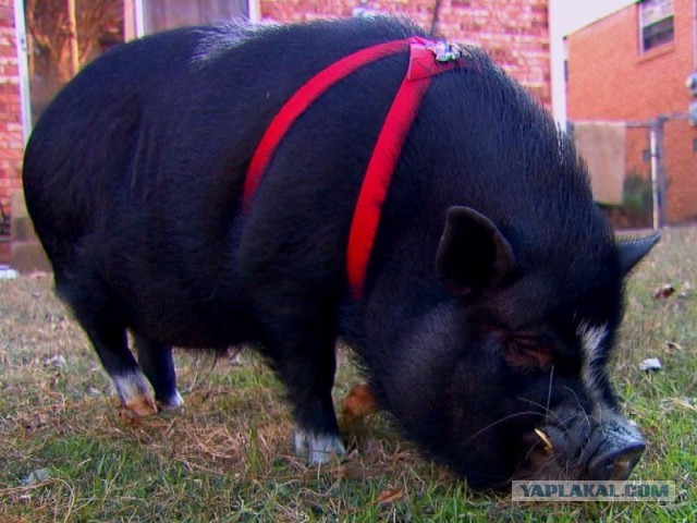 Произошел просто вопиющий случай, прошу огласки и внимания общественности!