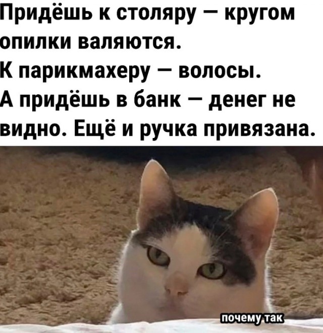 Нуштош 16.02.2023