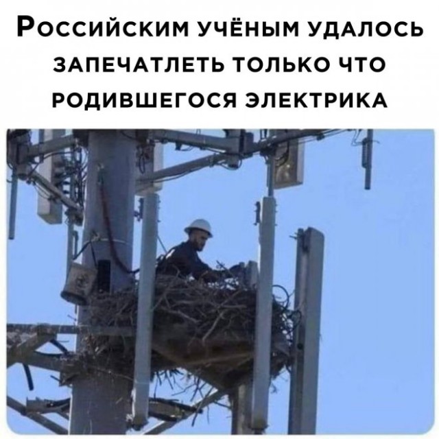 Картинки и мемы, всем хороших выходных