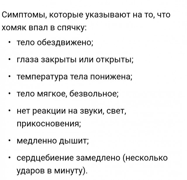 Как похоронить зимой хомяка?⁠⁠