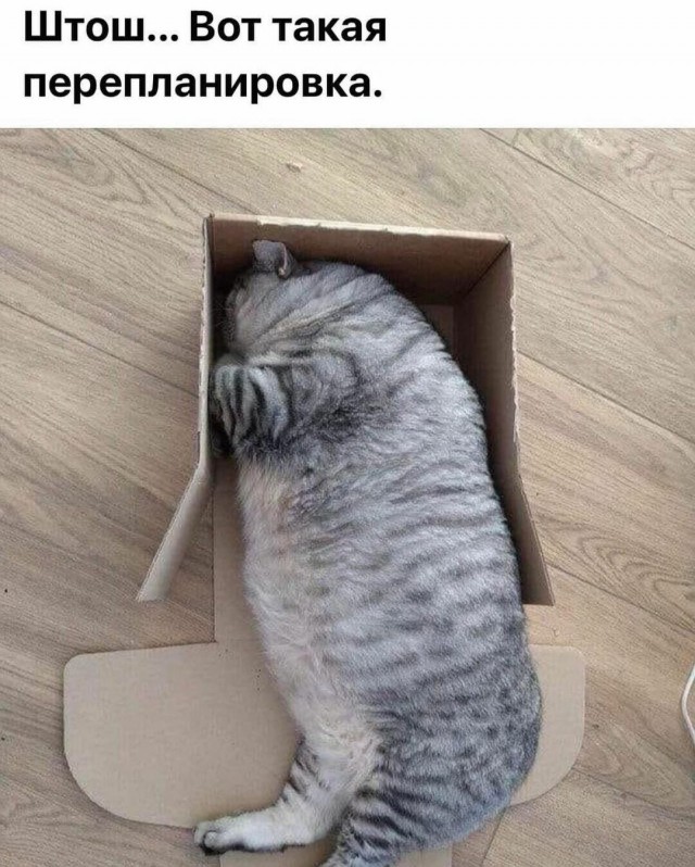 Юмор в картинках и без 12.04