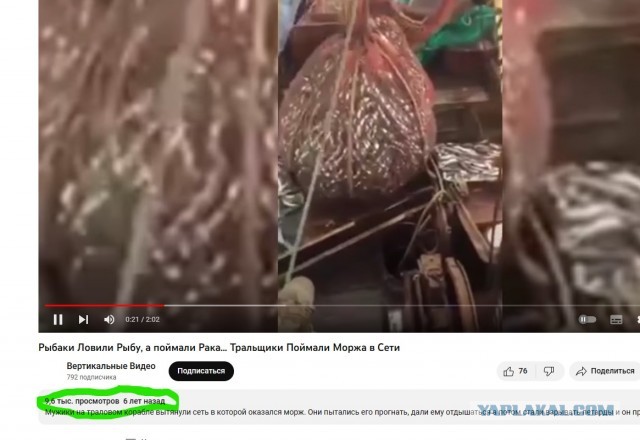 Толстый гость