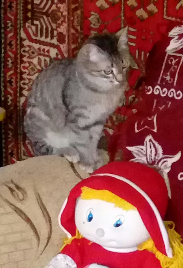 Ещё одну колбаску и всё