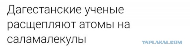 Крупнейший вкладчик во всё.