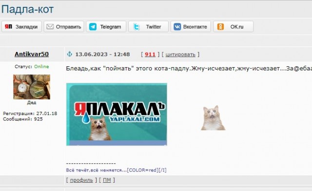 Падла-кот