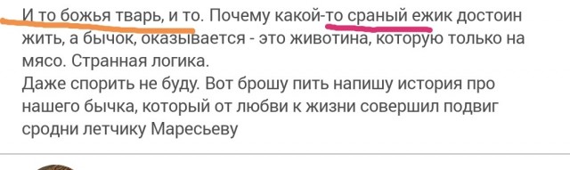 Ёжкина беда