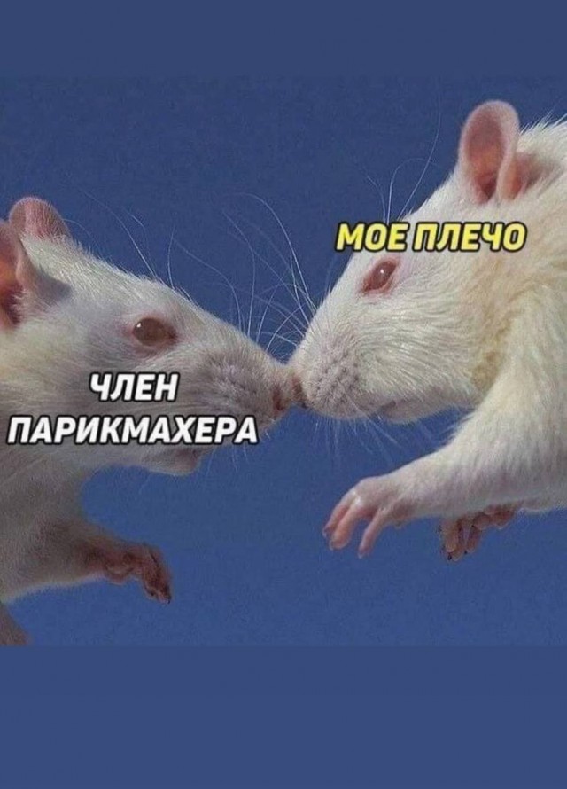 Скриншоты и комментарии из социальных сетей 07.10.23