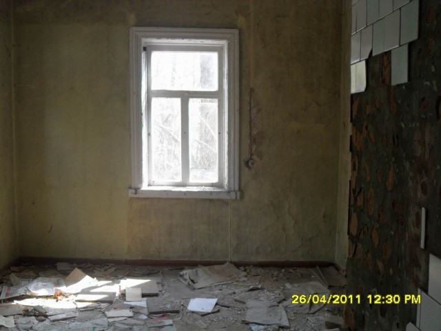 Чернобыль 2011
