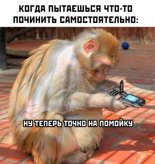 Весёлый полтишок 29.01.24
