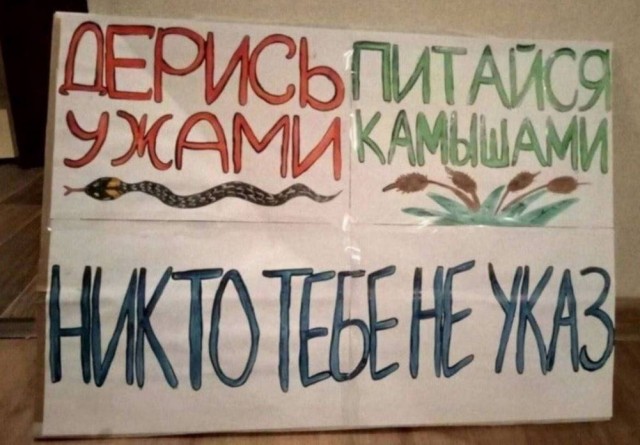 Немного субботней всячины