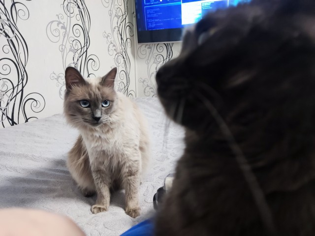 Сегодняшнее фото без затей