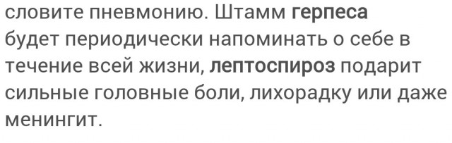Гоните их как увидите: Почему появление ежа на участке это тревожный сигнал для хозяев?
