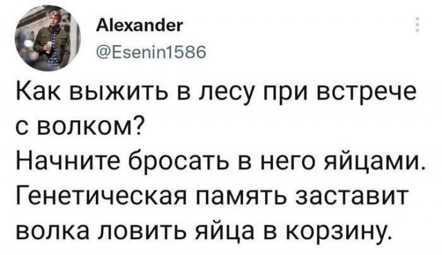 Никакие картинки