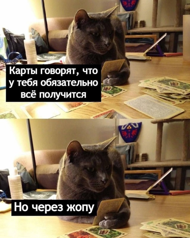 Никакие картинки