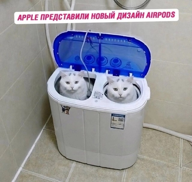 Никакие картинки и тексты