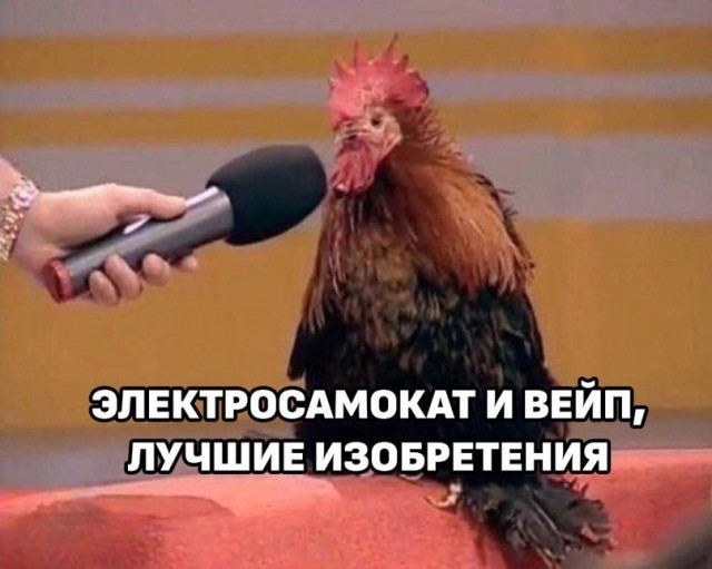 В Петербурге 29 тыс. человек лишились кикшеринг-аккаунтов из-за нарушений ПДД