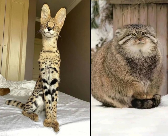 Я летом и я зимой