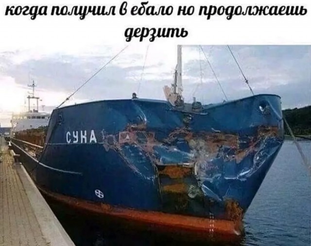 Веселые картинки к понедельнику (25.11)