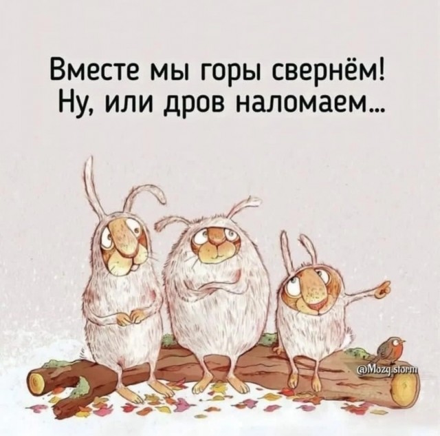 Так себе картинки 25.11.24