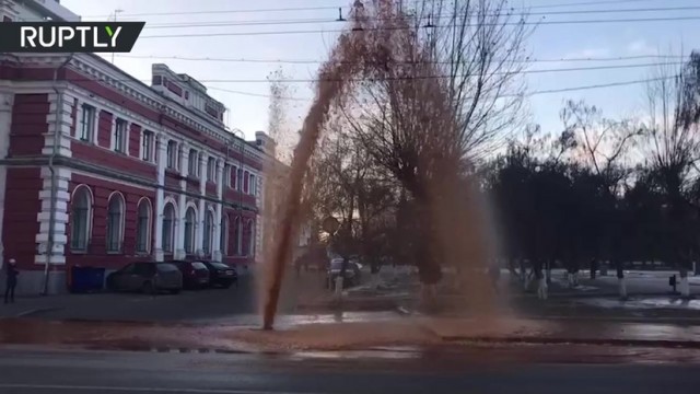 Так себе картинки 26.02.25