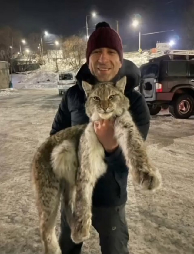 На Камчатке люди спасли с дерева кошку