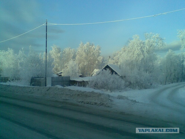 Красота! Лето на Ямале. Фото