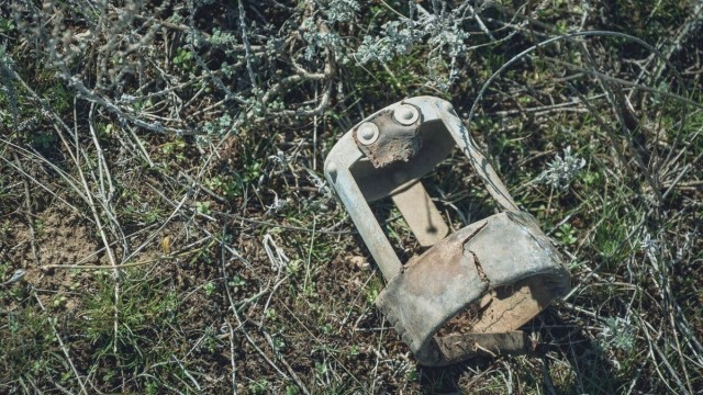 Воинские останки вылезли наружу у кладбища в Россошках