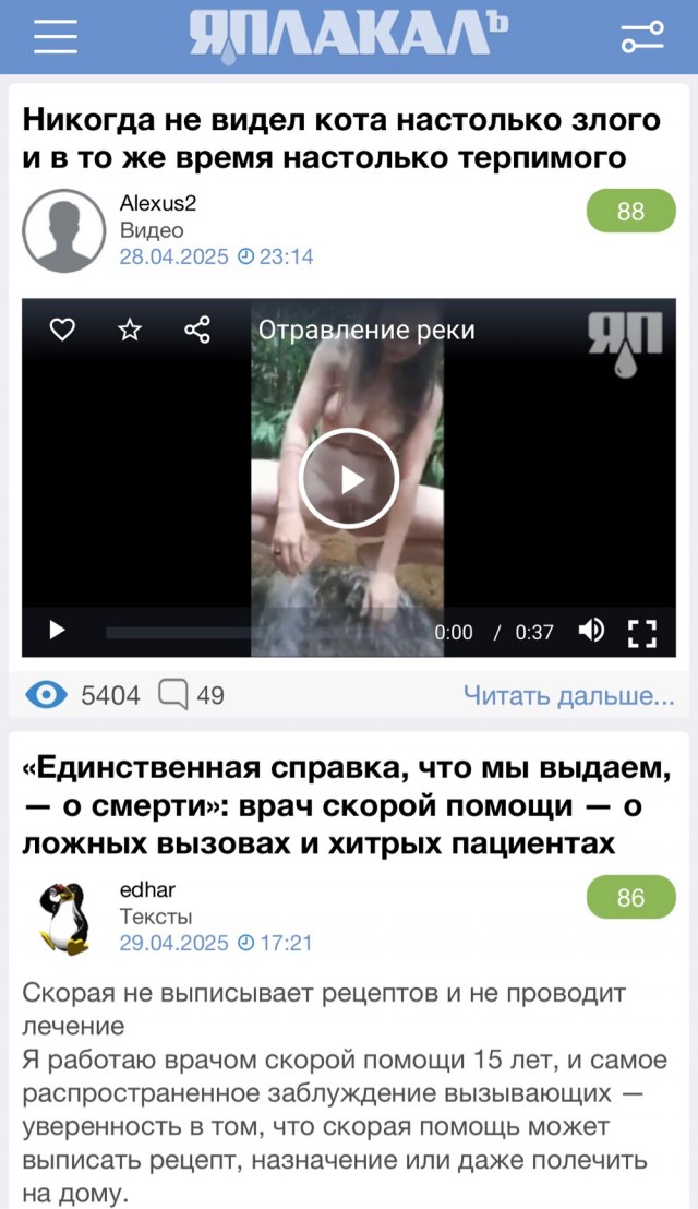 Никогда не видел кота настолько злого и в то же время настолько терпимого