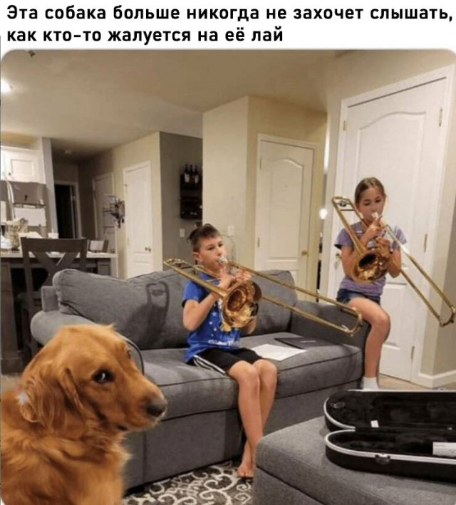 Завалялось тут случайно немного забавных картинок