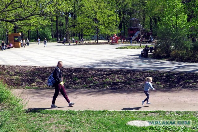 Детство, детство, ты куда спешишь