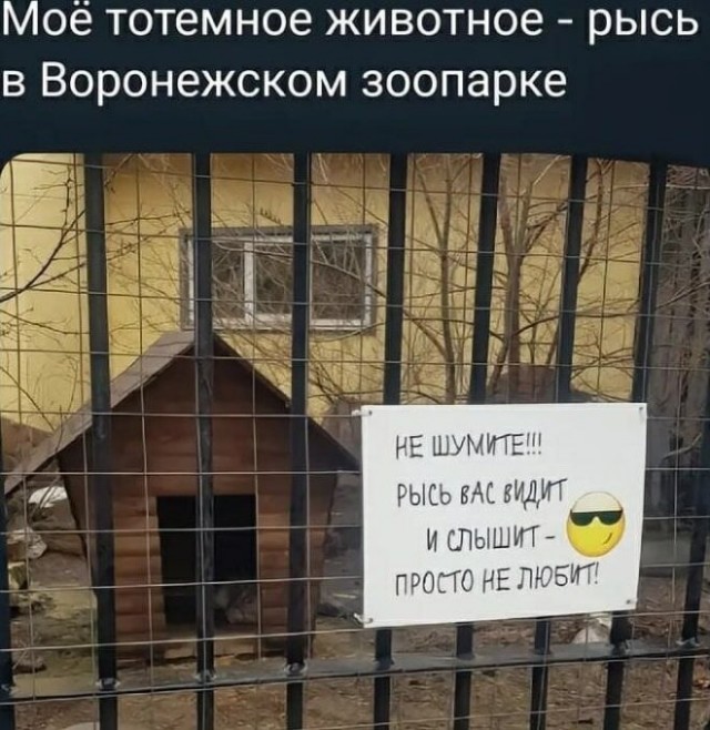 Картинки для деградации 53 (разной степени свежести)