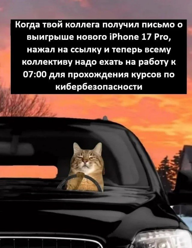 Картинки для деградации 57 (разной степени свежести)