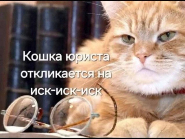 Картинки для деградации 78 (разной степени свежести)