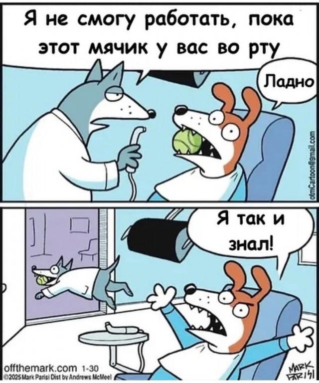 Воскресные картинки