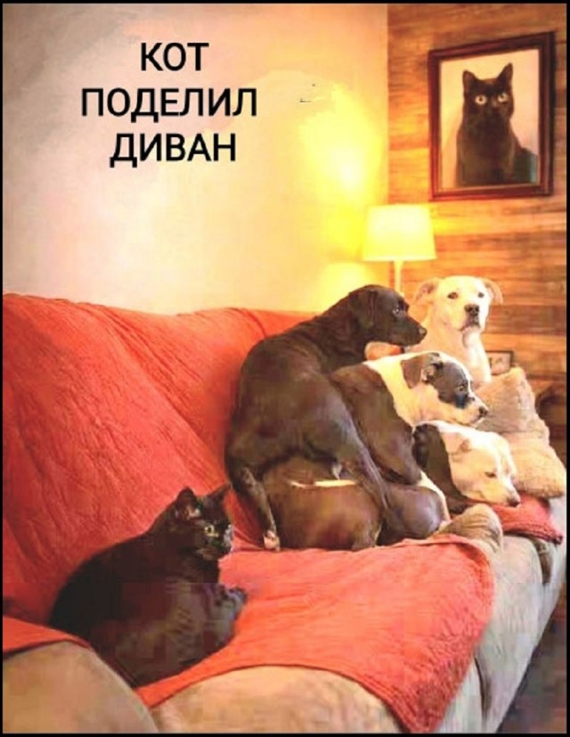 Так себе картинки 03.03.26