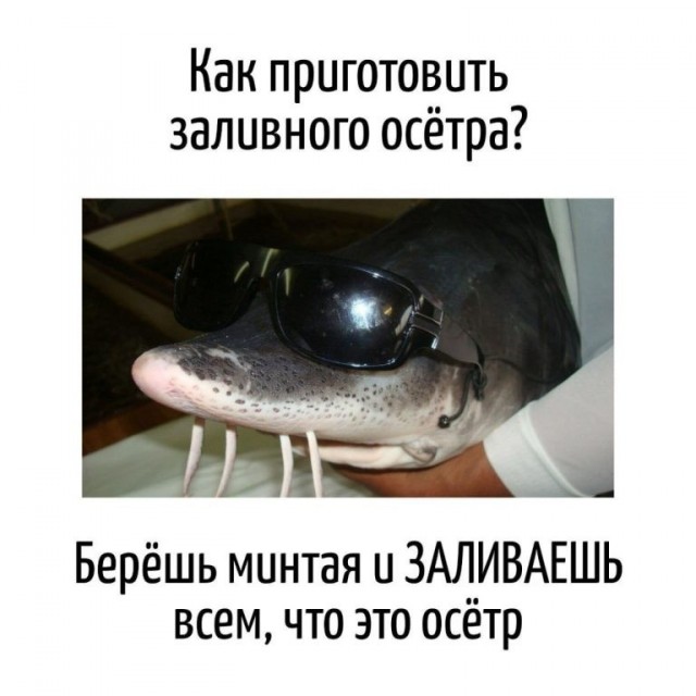 Сбросил клеймо⁠
