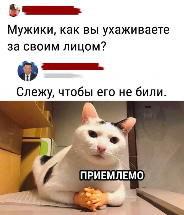 Дегрономикон две единицы