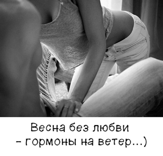 Так себе картинки 15.03.26
