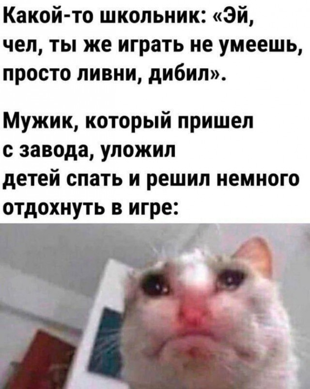 Картинки для деградации 177 (разной степени свежести)