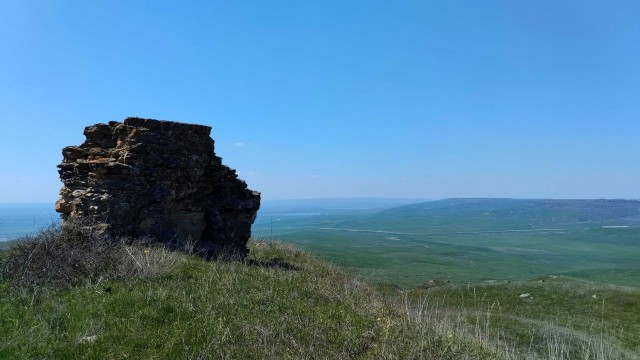Литературное заведение "Буквица"