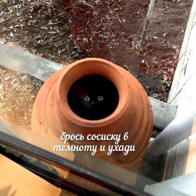 Картинки для деградации 200 (разной степени свежести)