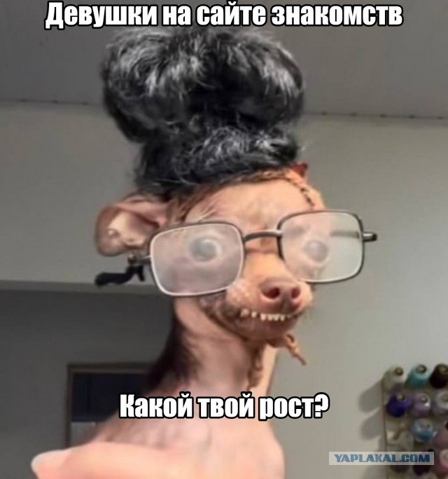 Картинки для деградации 203  (разной степени свежести)