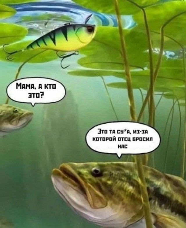 Веселые картинки в маленькую пятницу (03.06)