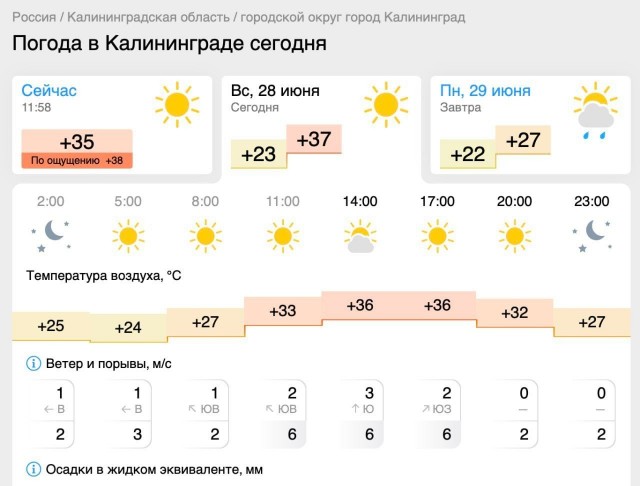 Пляжи Калининградской области переполнены из-за аномальной жары до +36°C, пришедшей из Европы